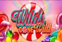 Wilds gone wild slot